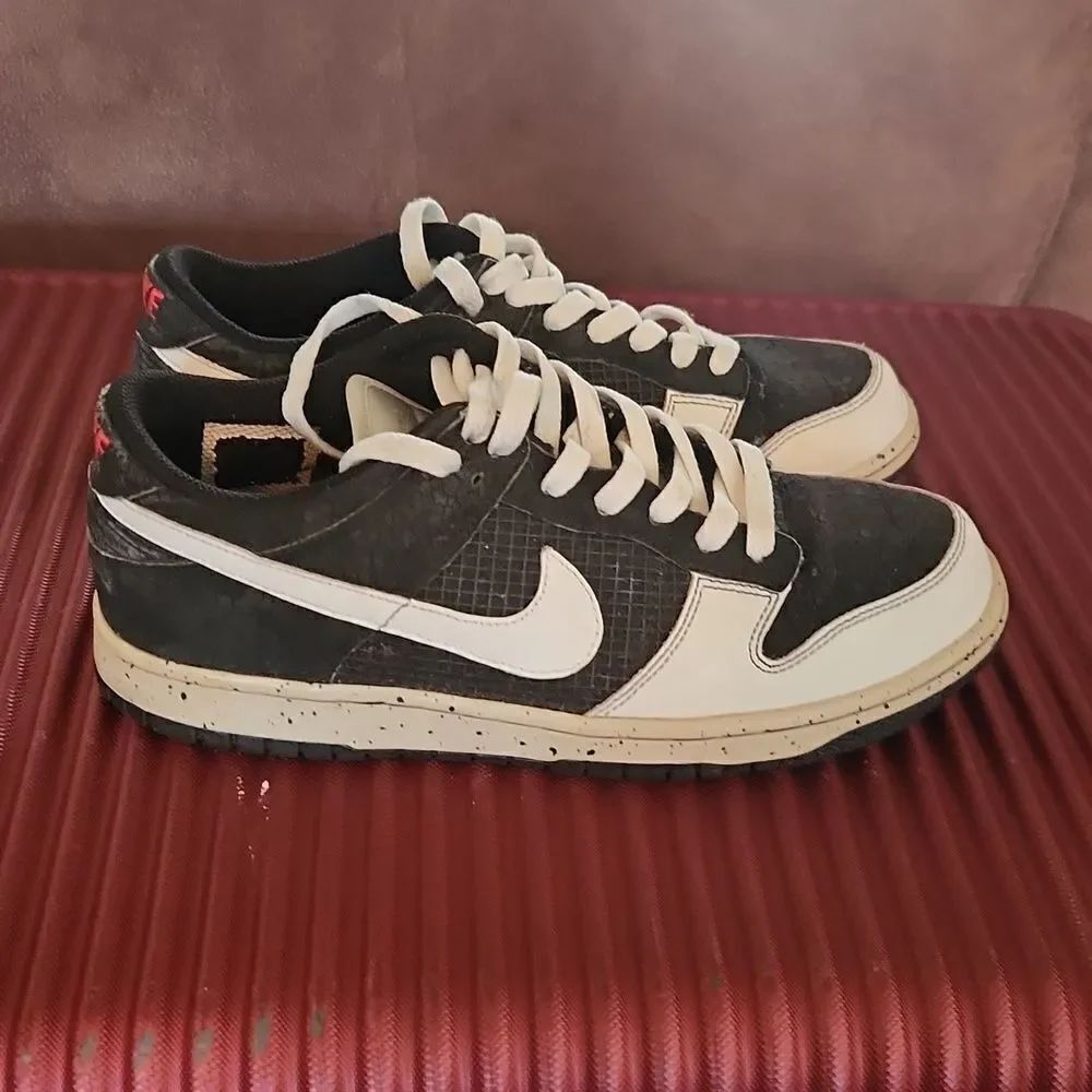 Nike Dunk 2006 Jordan Low Black White Cement 10